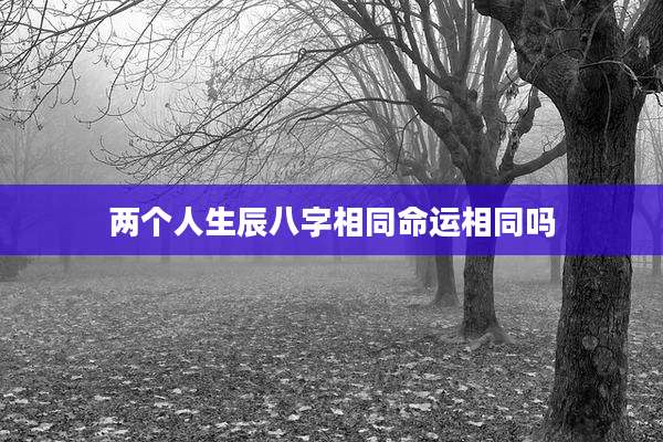 两个人生辰八字相同命运相同吗
