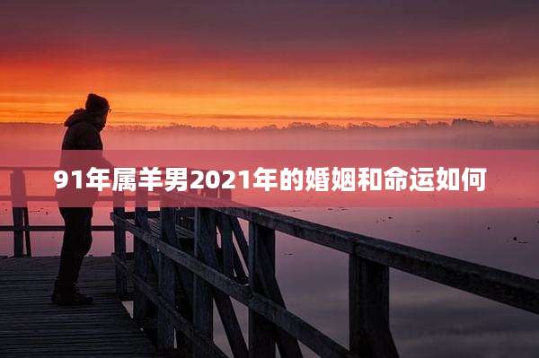 91年属羊男2021年的婚姻和命运如何