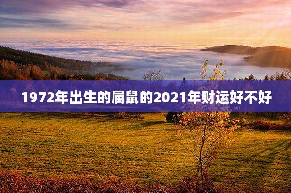 1972年出生的属鼠的2021年财运好不好