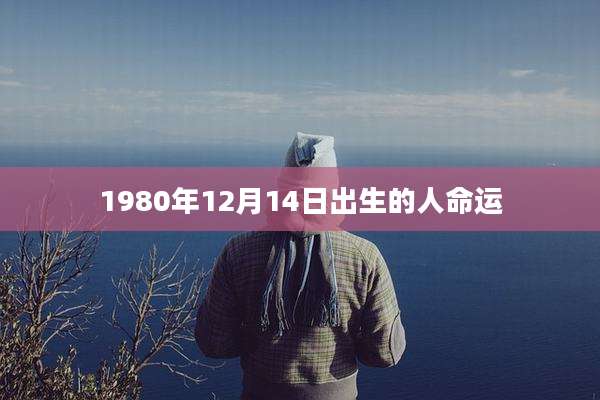 1980年12月14日出生的人命运