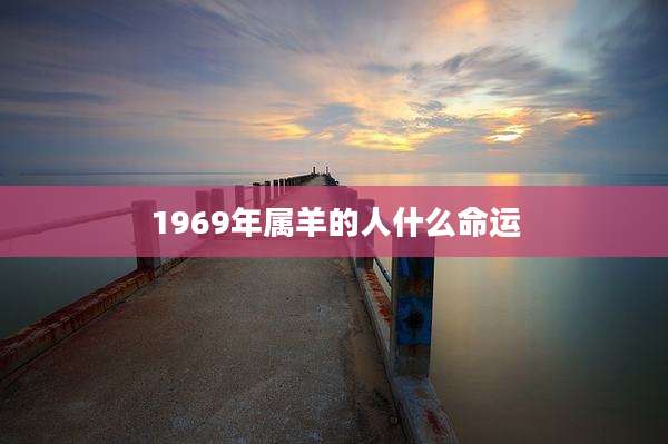 1969年属羊的人什么命运