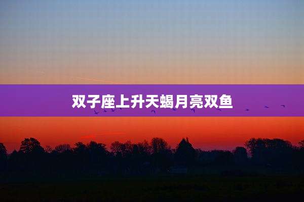 双子座上升天蝎月亮双鱼
