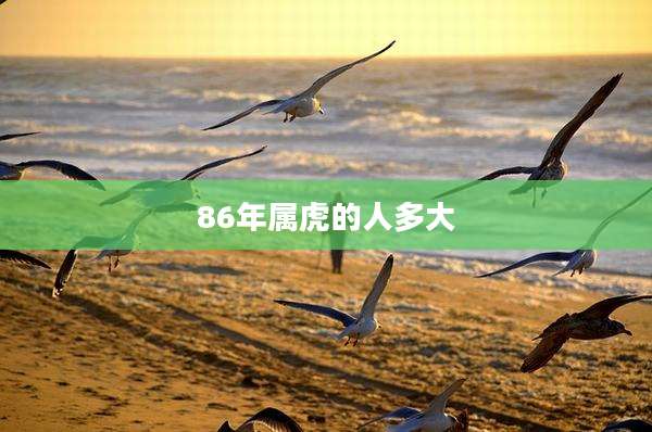 86年属虎的人多大