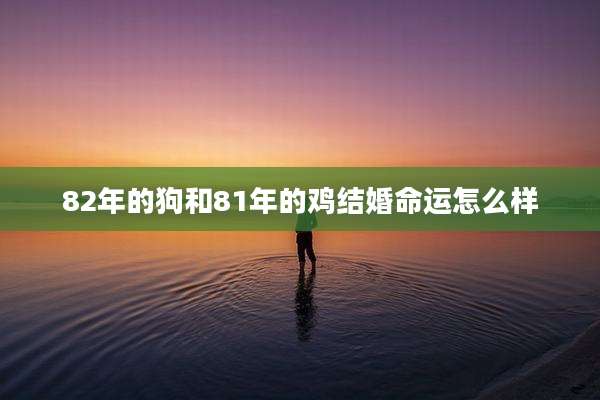 82年的狗和81年的鸡结婚命运怎么样