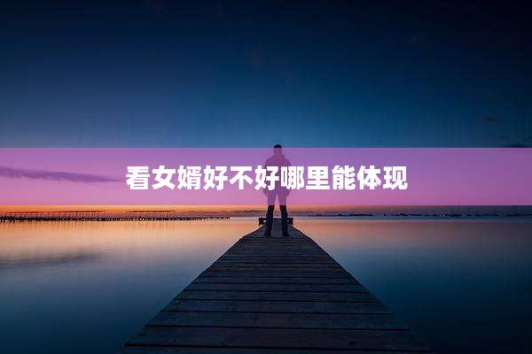 看女婿好不好哪里能体现