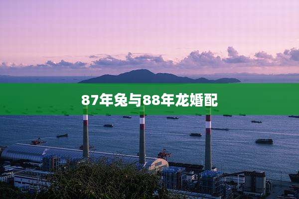 87年兔与88年龙婚配