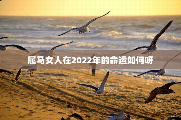 属马女人在2022年的命运如何呀