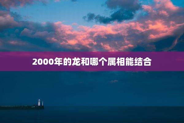 2000年的龙和哪个属相能结合