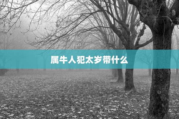 属牛人犯太岁带什么