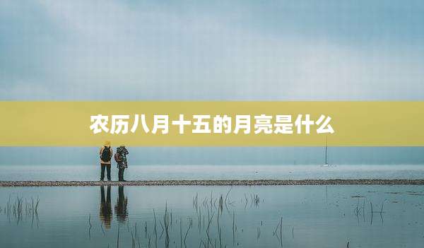 农历八月十五的月亮是什么