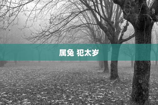 属兔 犯太岁