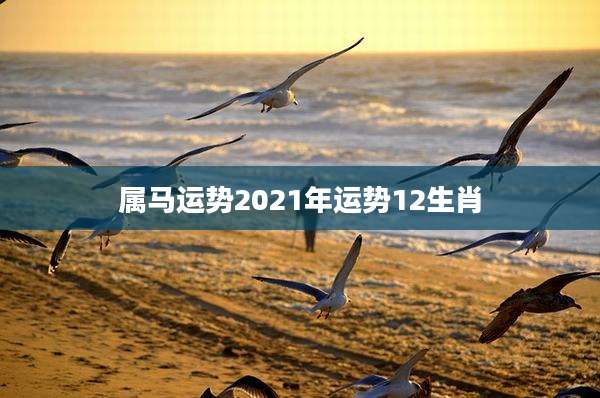 属马运势2021年运势12生肖