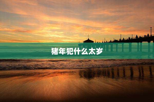 猪年犯什么太岁