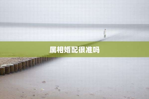 属相婚配很准吗