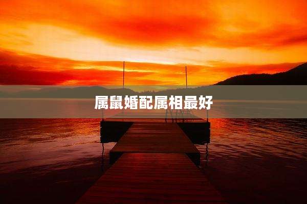 属鼠婚配属相最好