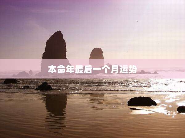 本命年最后一个月运势