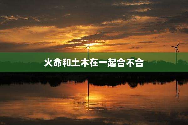 火命和土木在一起合不合