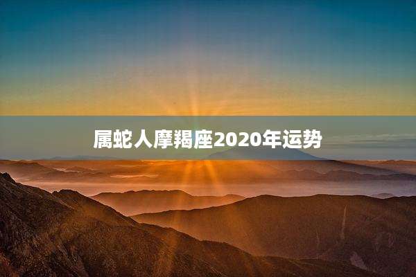 属蛇人摩羯座2020年运势