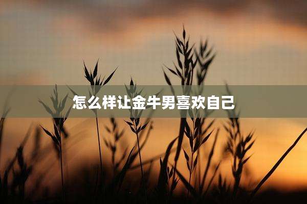 怎么样让金牛男喜欢自己