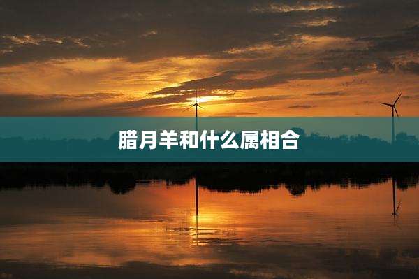 腊月羊和什么属相合