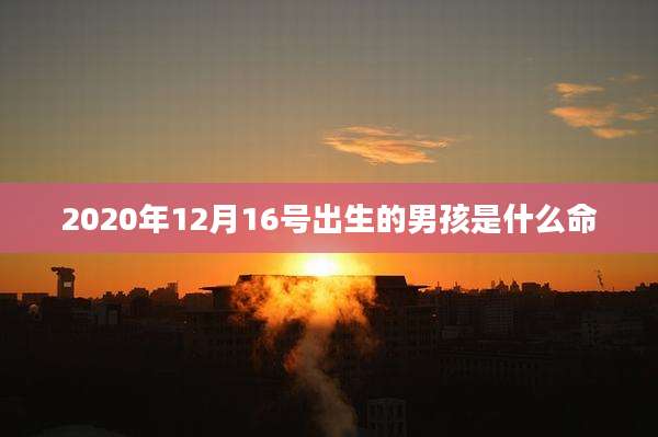 2020年12月16号出生的男孩是什么命