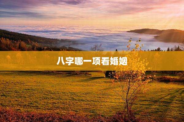 八字哪一项看婚姻