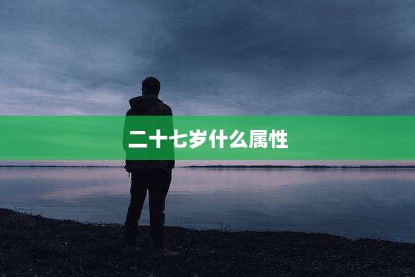 二十七岁什么属性