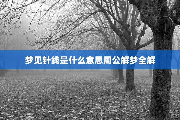 梦见针线是什么意思周公解梦全解