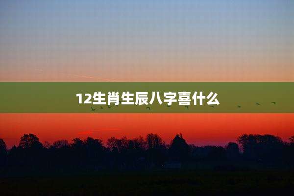 12生肖生辰八字喜什么