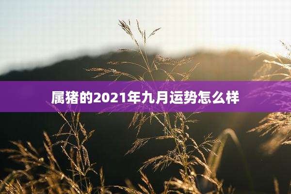 属猪的2021年九月运势怎么样