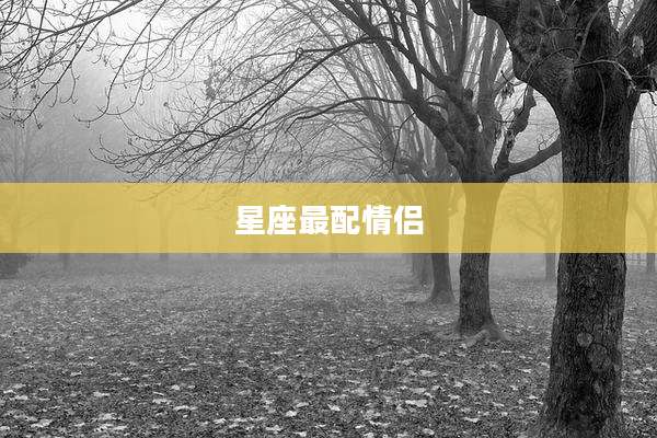 星座最配情侣