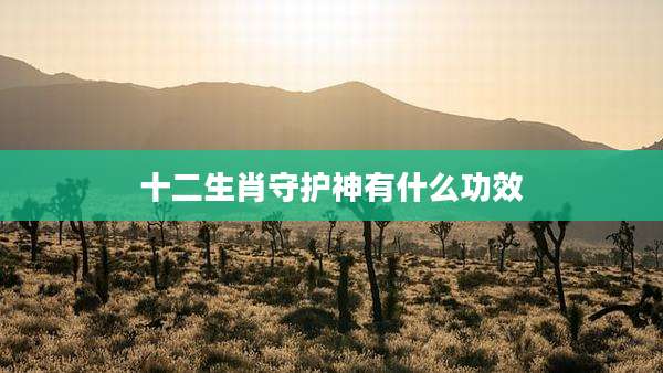 十二生肖守护神有什么功效