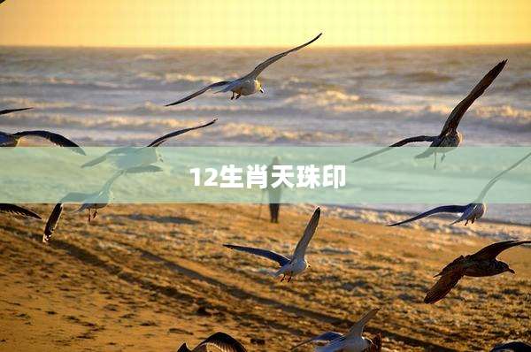 12生肖天珠印