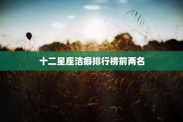 十二星座洁癖排行榜前两名