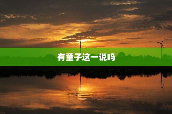 有童子这一说吗