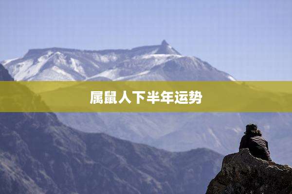 属鼠人下半年运势