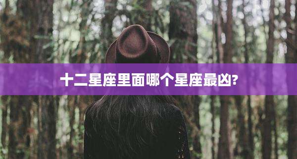 十二星座里面哪个星座最凶?