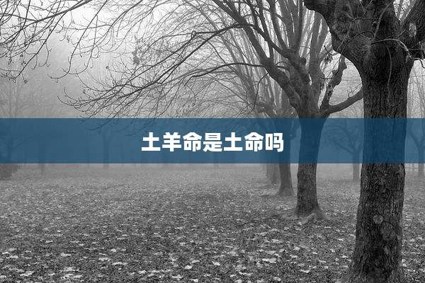 土羊命是土命吗