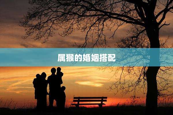 属猴的婚姻搭配