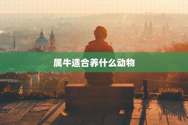 属牛适合养什么动物