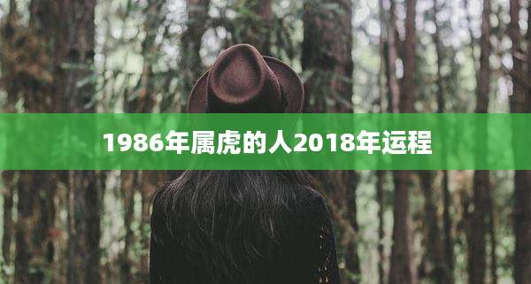 1986年属虎的人2018年运程