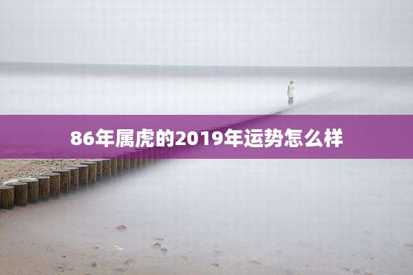86年属虎的2019年运势怎么样