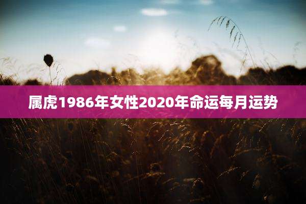 属虎1986年女性2020年命运每月运势