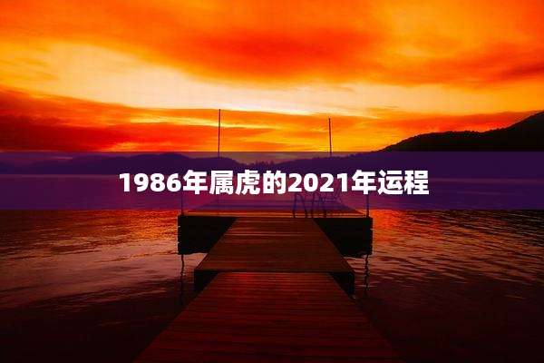 1986年属虎的2021年运程