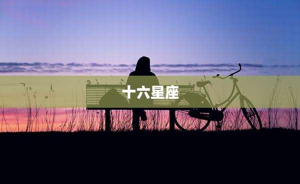 十六星座