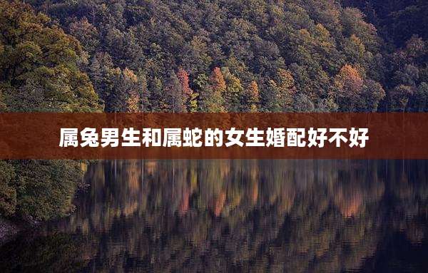 属兔男生和属蛇的女生婚配好不好