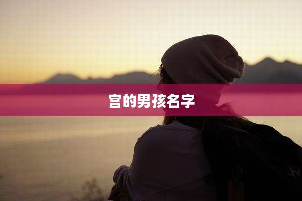 宫的男孩名字