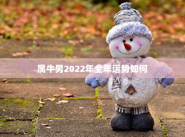 属牛男2022年全年运势如何