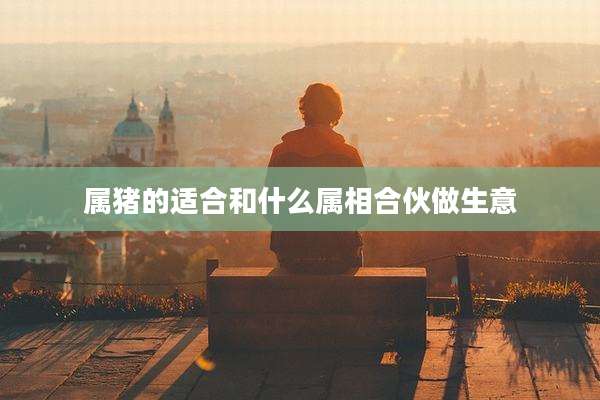 属猪的适合和什么属相合伙做生意
