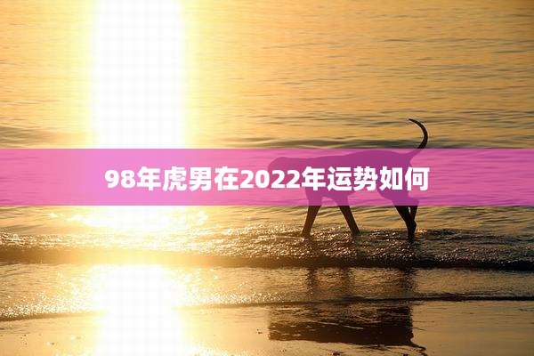 98年虎男在2022年运势如何